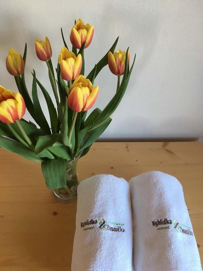Horsky Apartman Vyhlidka Rejviz Zlaté Hory Exterior foto